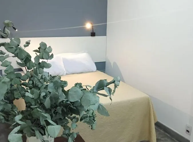 Lapa Bed & Breakfast